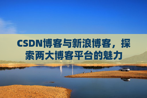 CSDN博客与新浪博客，探索两大博客平台的魅力